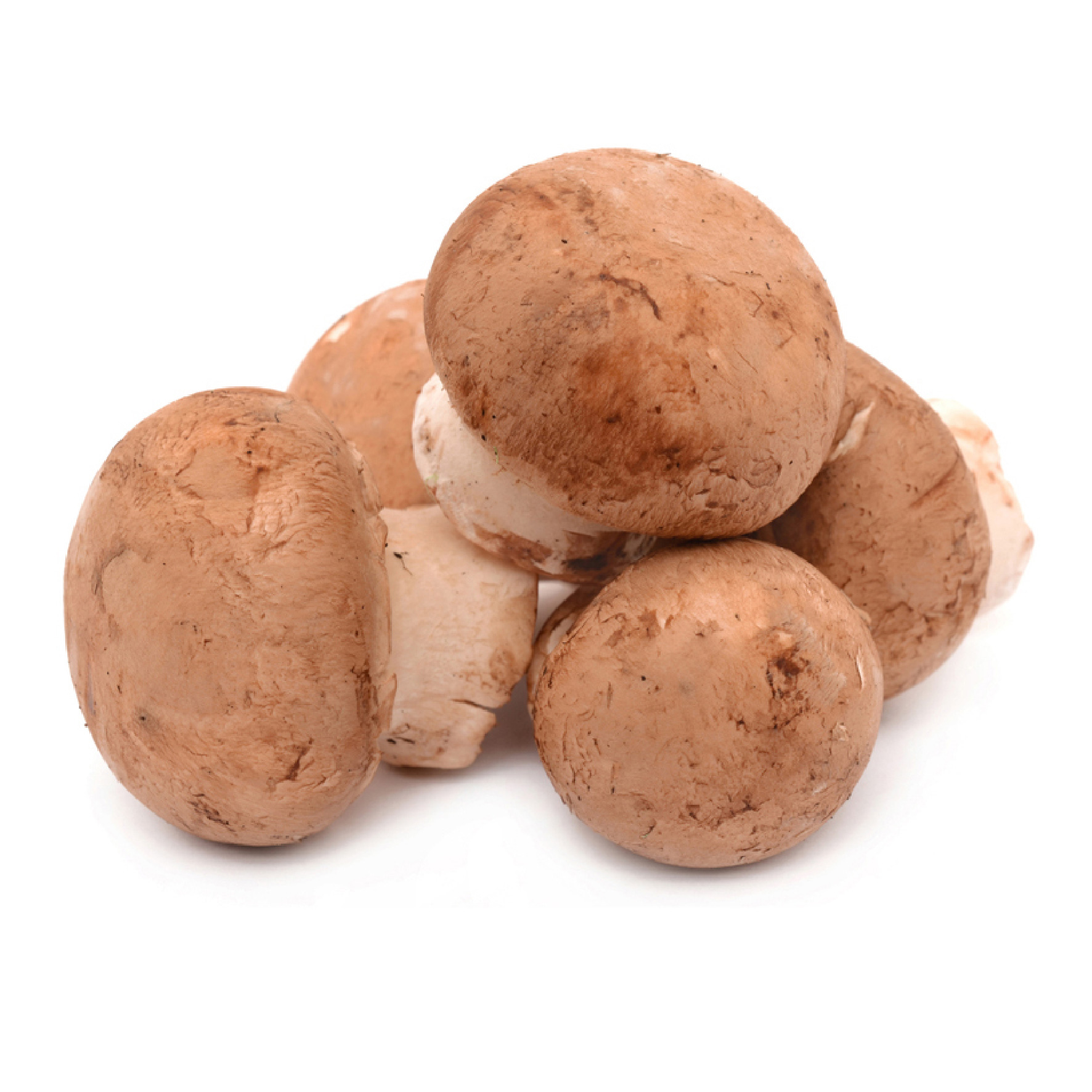 פטריות שמפניון