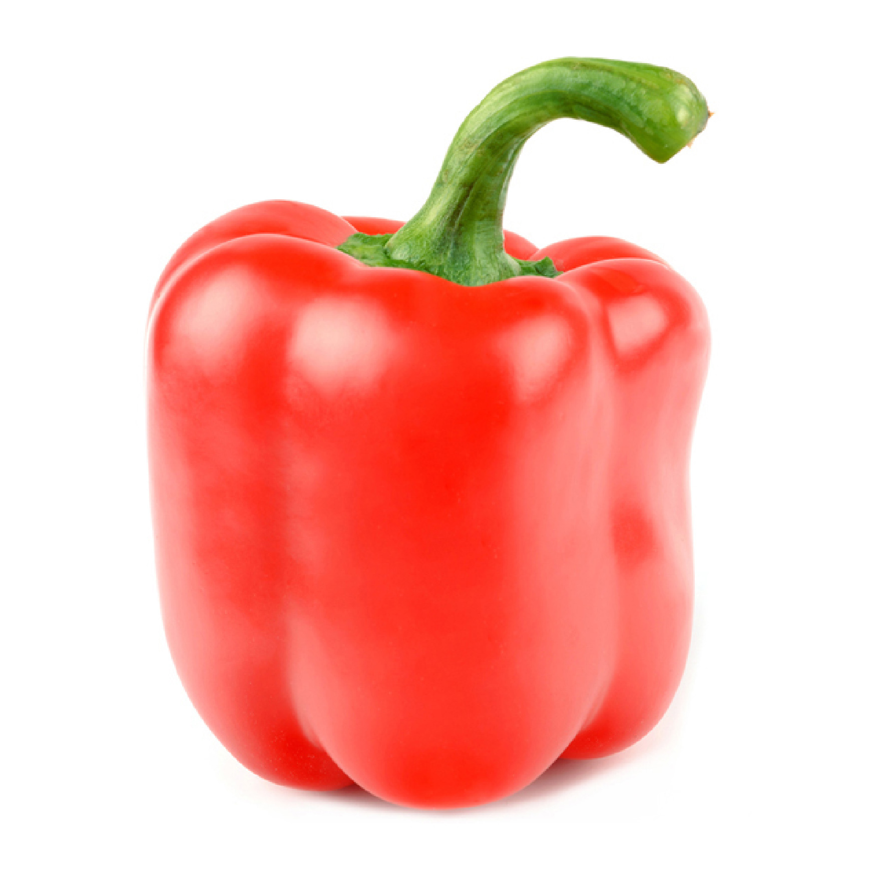 פלפל אדום - גמבה