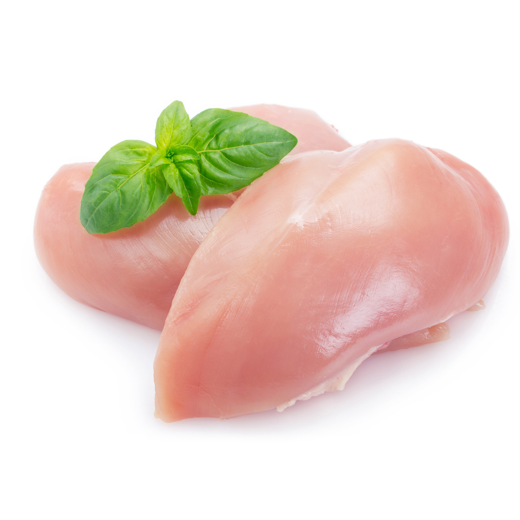 חזה עוף